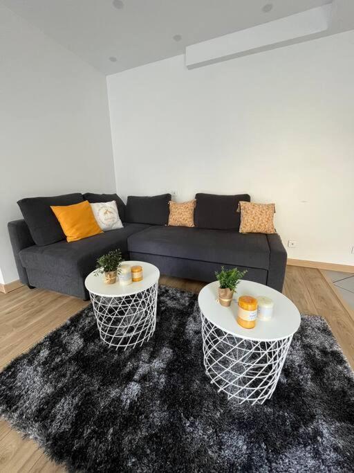 Superbe Appartement Moderne En Rez-De-Chaussee Ozoir-la-Ferrière Zewnętrze zdjęcie