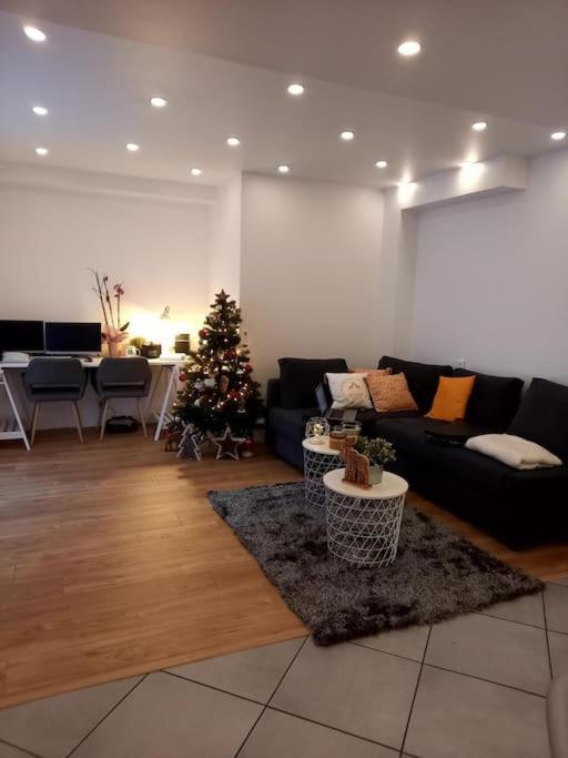 Superbe Appartement Moderne En Rez-De-Chaussee Ozoir-la-Ferrière Zewnętrze zdjęcie